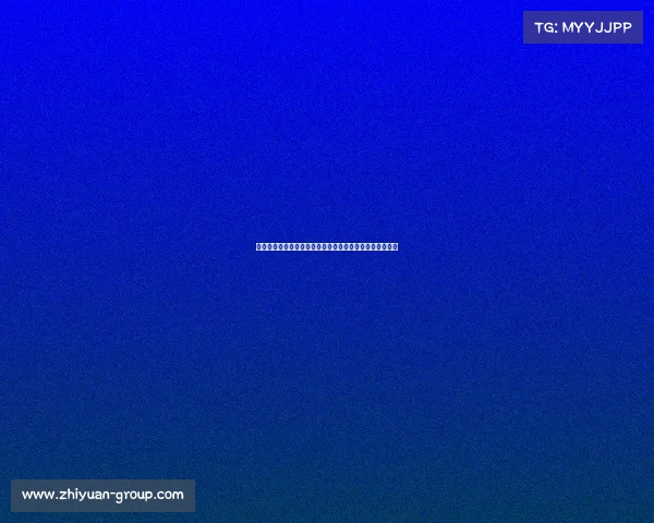 中华咏春拳世界巡回赛震撼开启各路英豪齐聚争夺至高荣耀